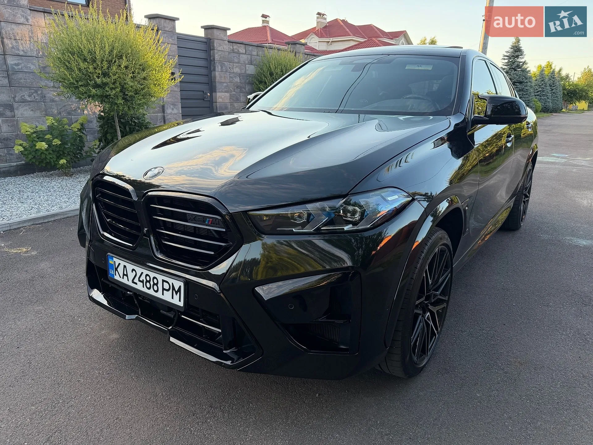 2021 BMW X6 - мініатюра 2