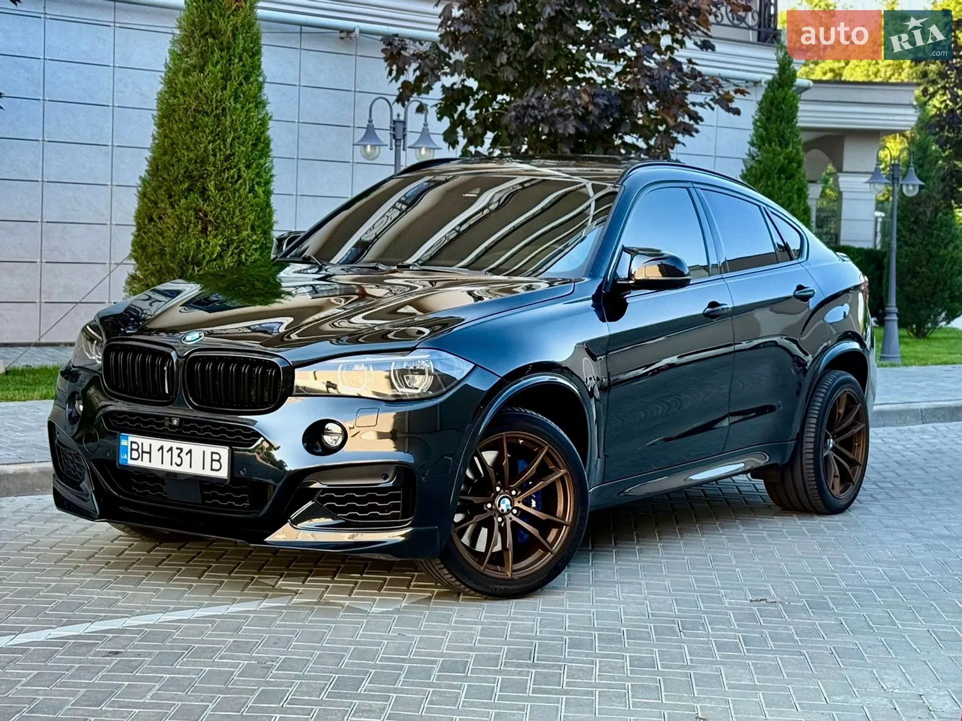 2018 BMW X6 - мініатюра 67