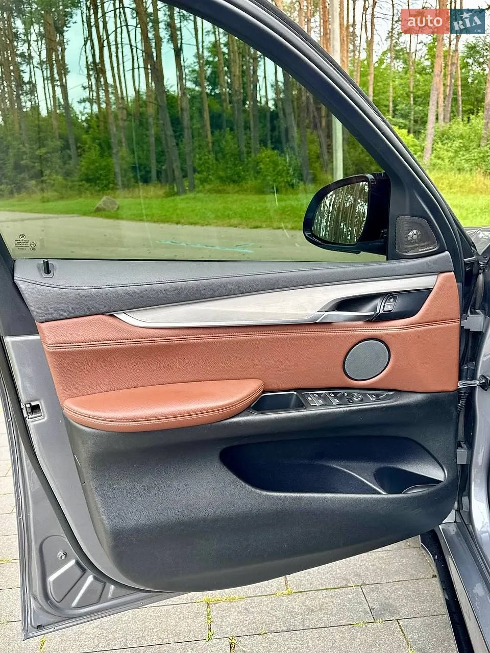 2017 BMW X6 - мініатюра 14
