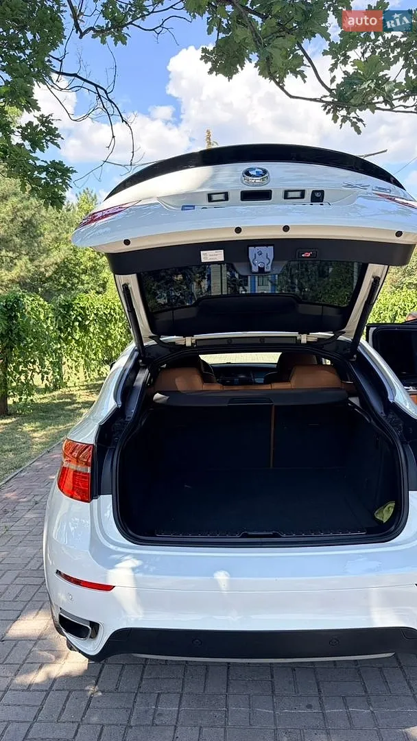 2010 BMW X6 - мініатюра 13