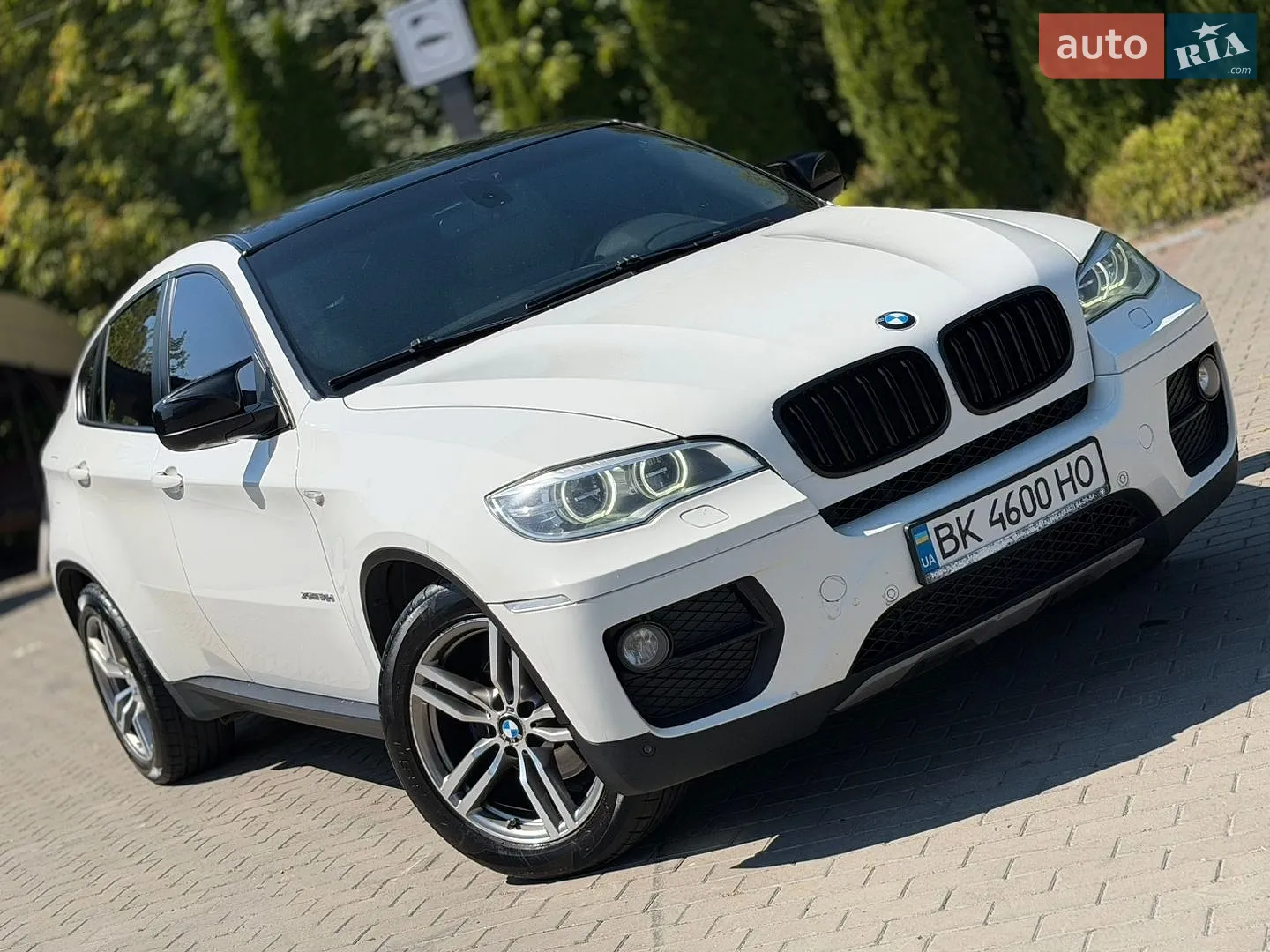 2013 BMW X6 - мініатюра 4