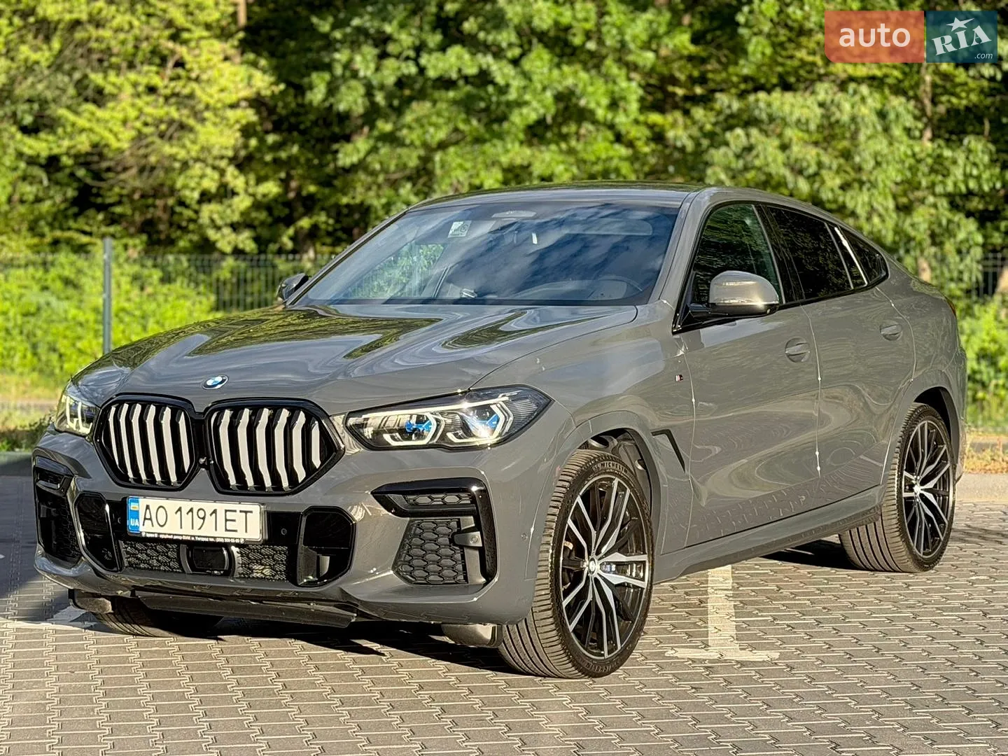 2021 BMW X6 - мініатюра 48