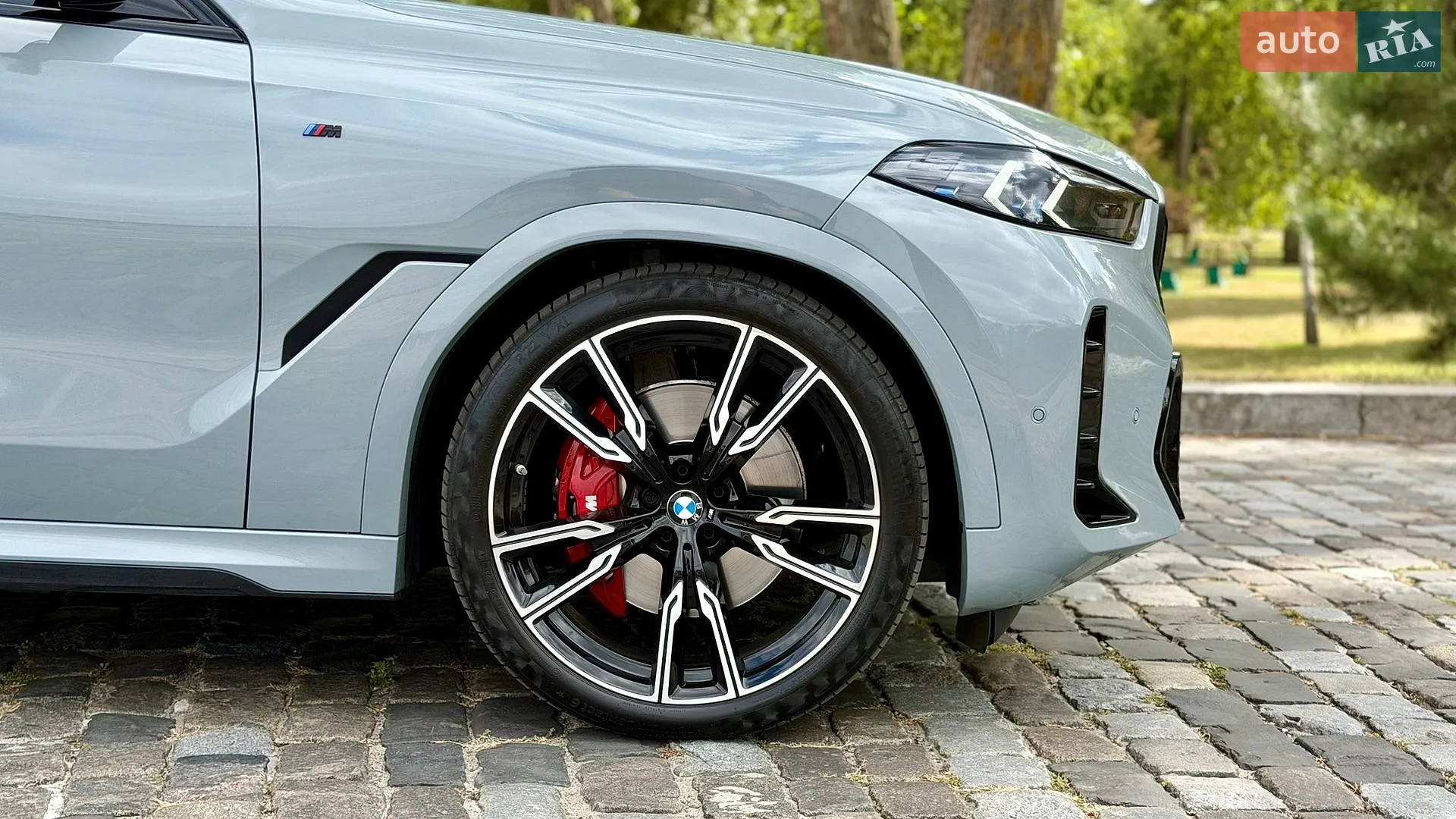 2024 BMW X6 - мініатюра 6