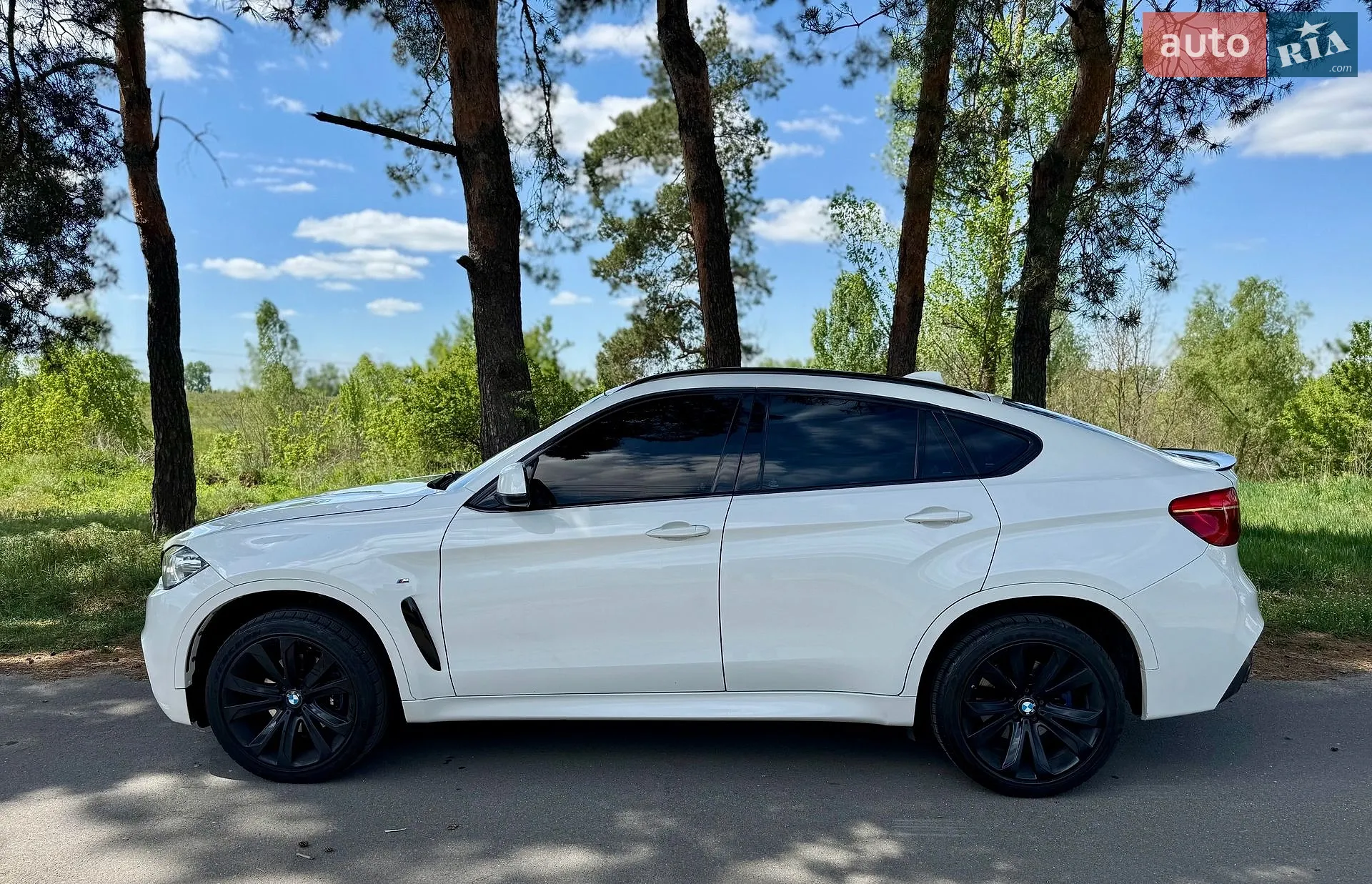 2014 BMW X6 - мініатюра 7