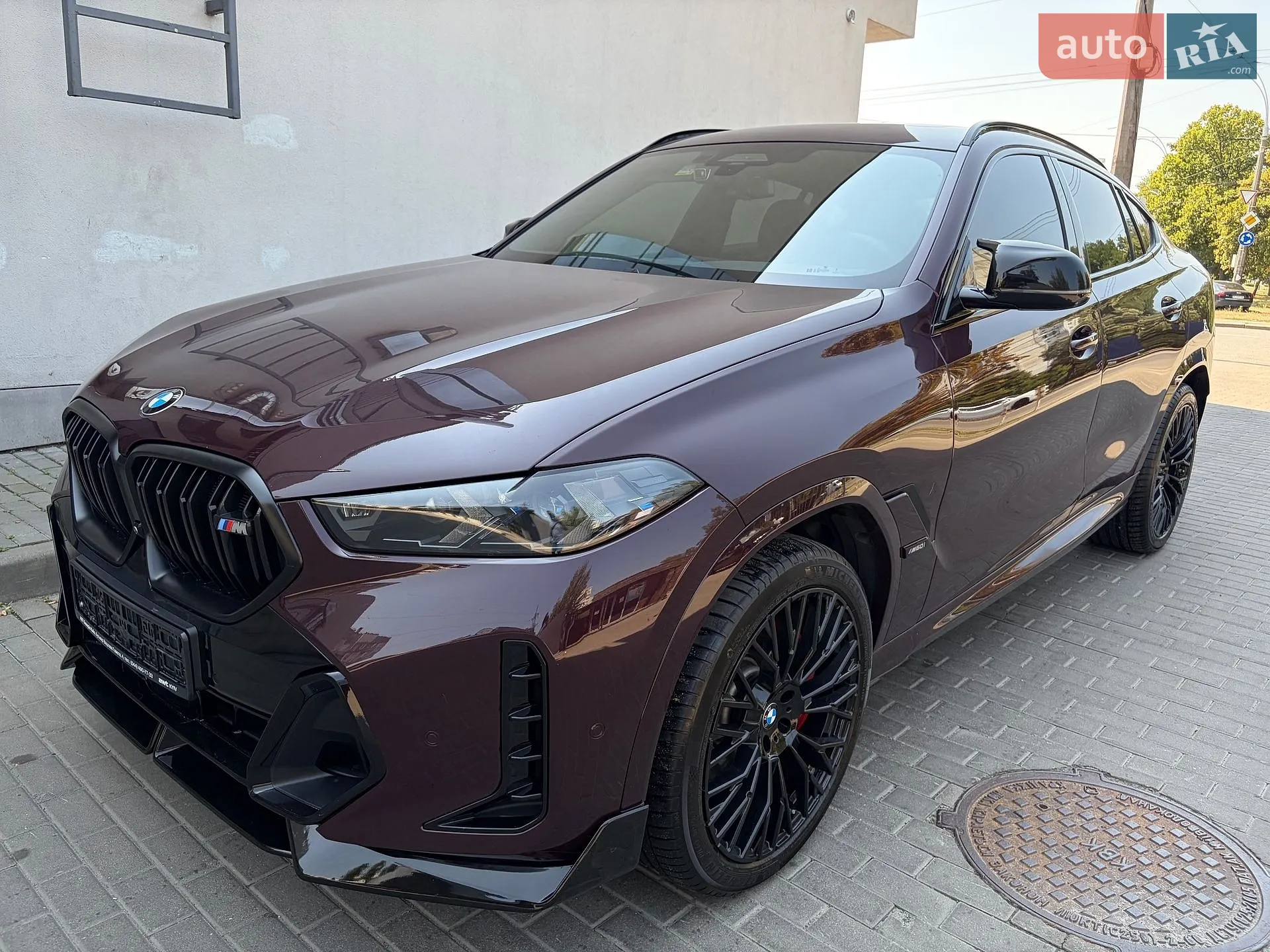2023 BMW X6 - мініатюра 36