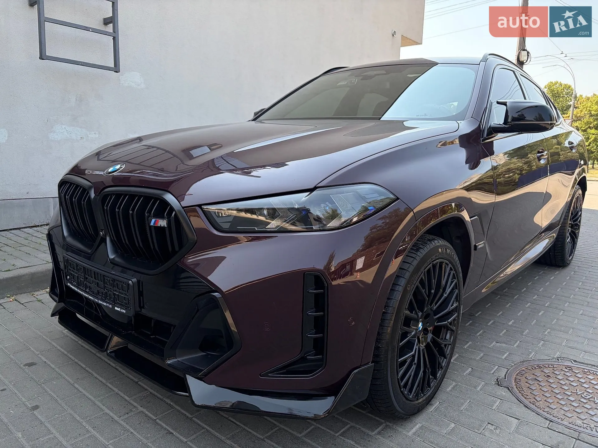 2023 BMW X6 - мініатюра 40