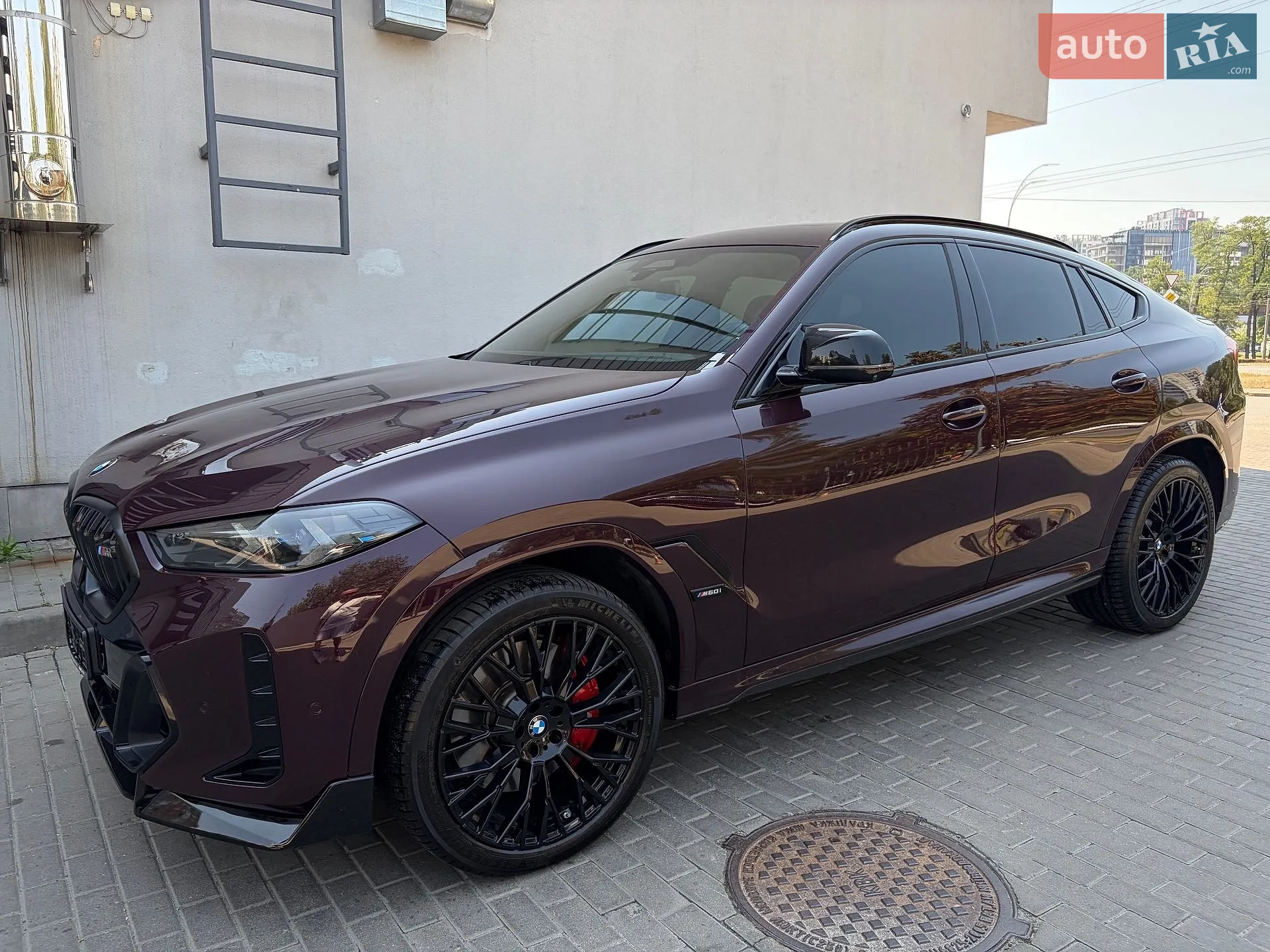 2023 BMW X6 - мініатюра 69