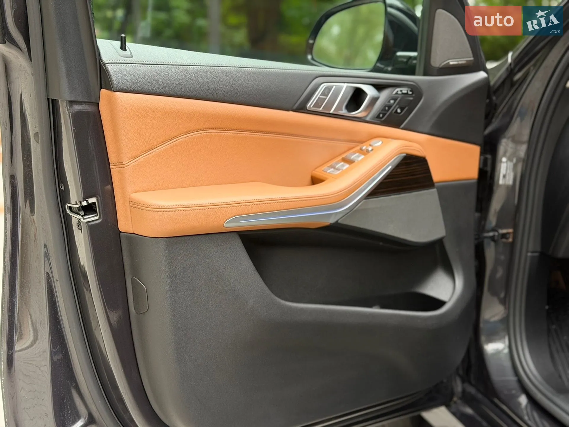 2019 BMW X7 - мініатюра 12