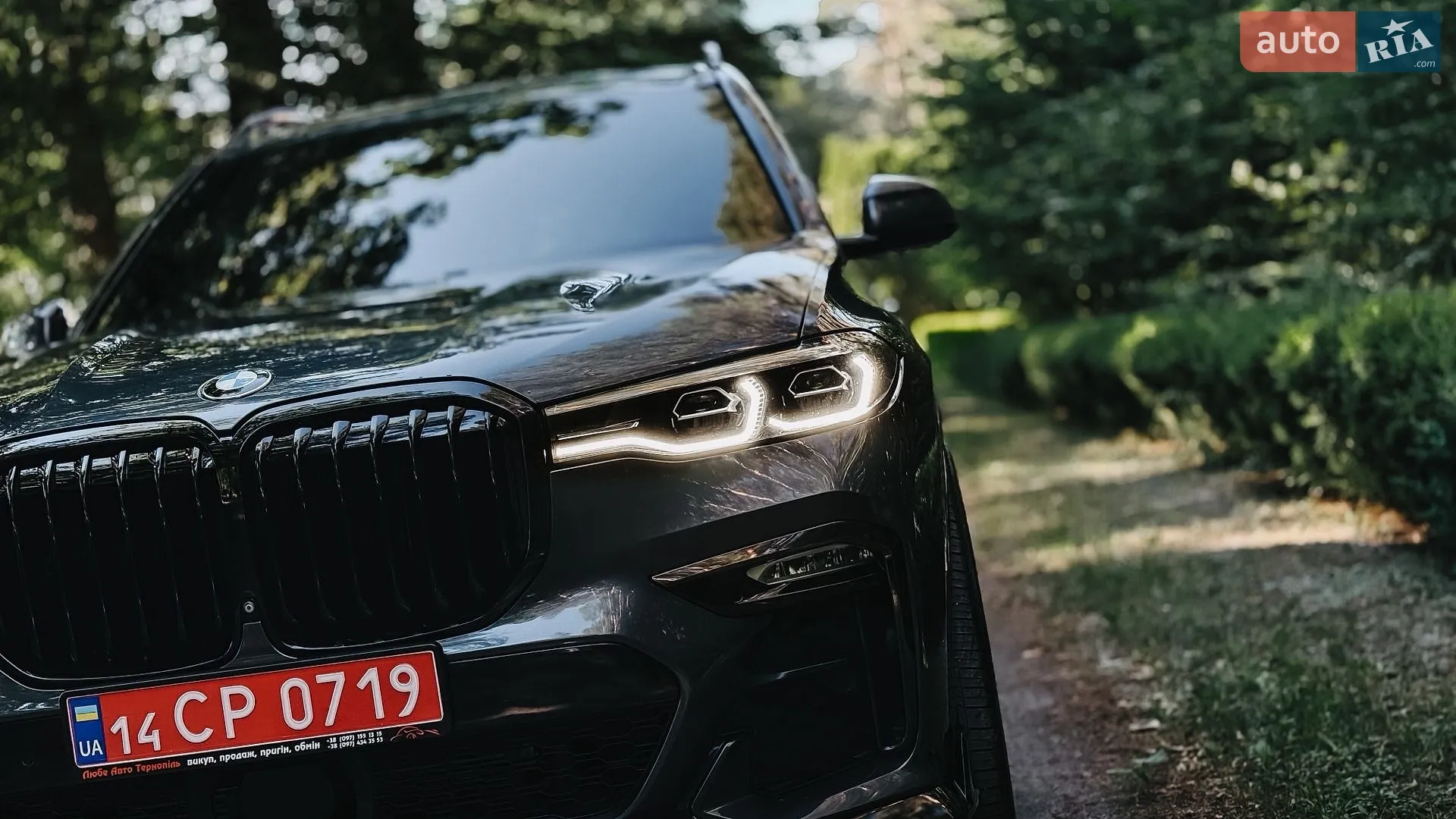 2019 BMW X7 - мініатюра 4