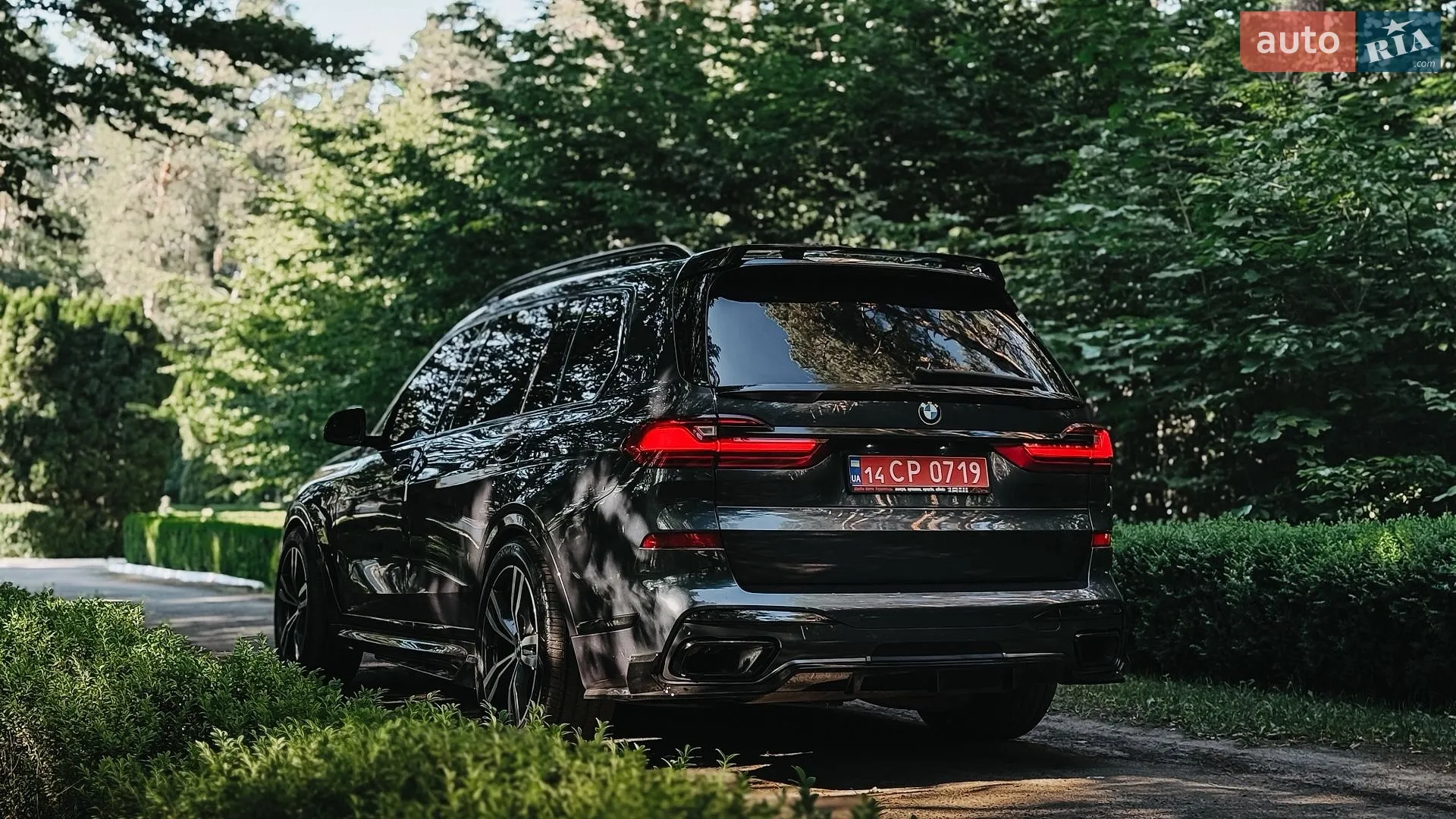 2019 BMW X7 - мініатюра 9
