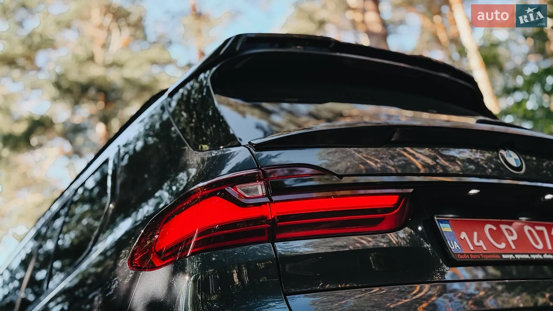 2019 BMW X7 - мініатюра 14