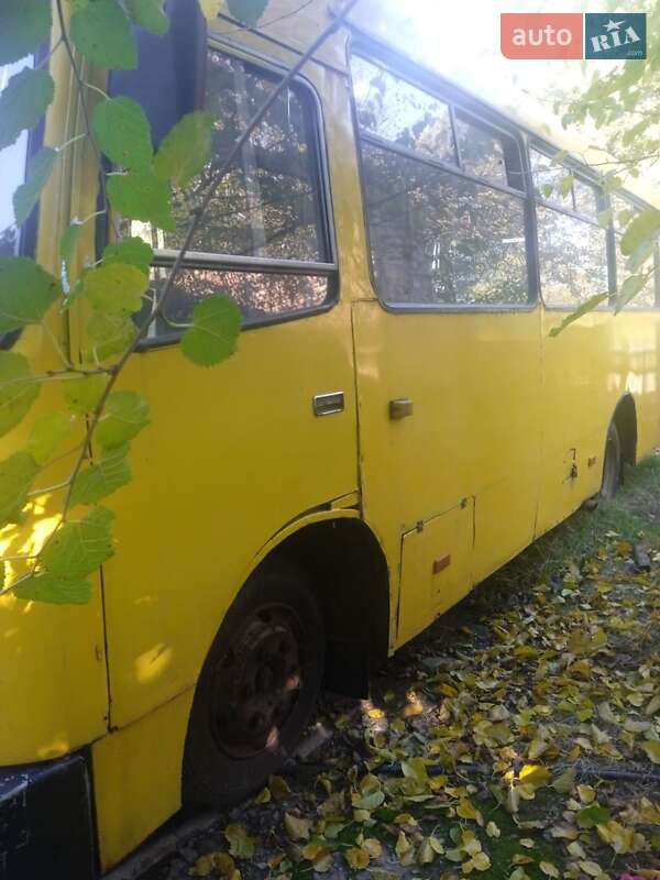 Пригородный автобус Богдан А-091 2002 в Бобрике фото 4 Пригородный автобус Богдан А-091 2002 в Бобрике