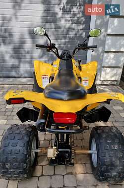 Квадроцикл спортивний BRP DS 250 2009 в 