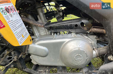 Квадроцикл спортивний BRP DS 250 2008 в 