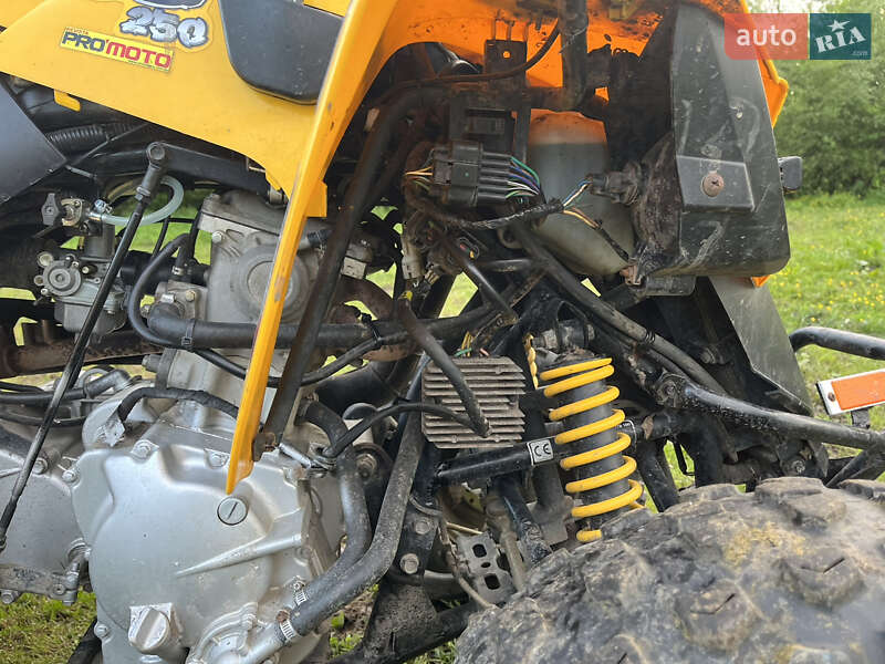 Квадроцикл спортивний BRP DS 250 2007 в Мостиській