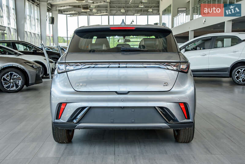 Хэтчбек BYD Dolphin 2023 в Днепре