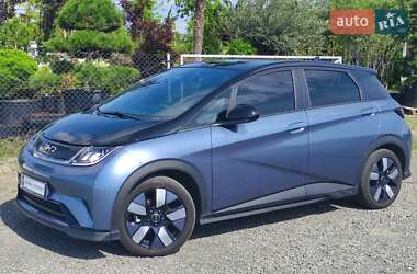 Хэтчбек BYD Dolphin 2024 в Ужгороде