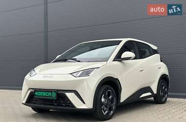 Хэтчбек BYD Seagull 2025 в Киеве