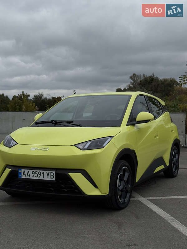 Хэтчбек BYD Seagull 2023 в Ирпене