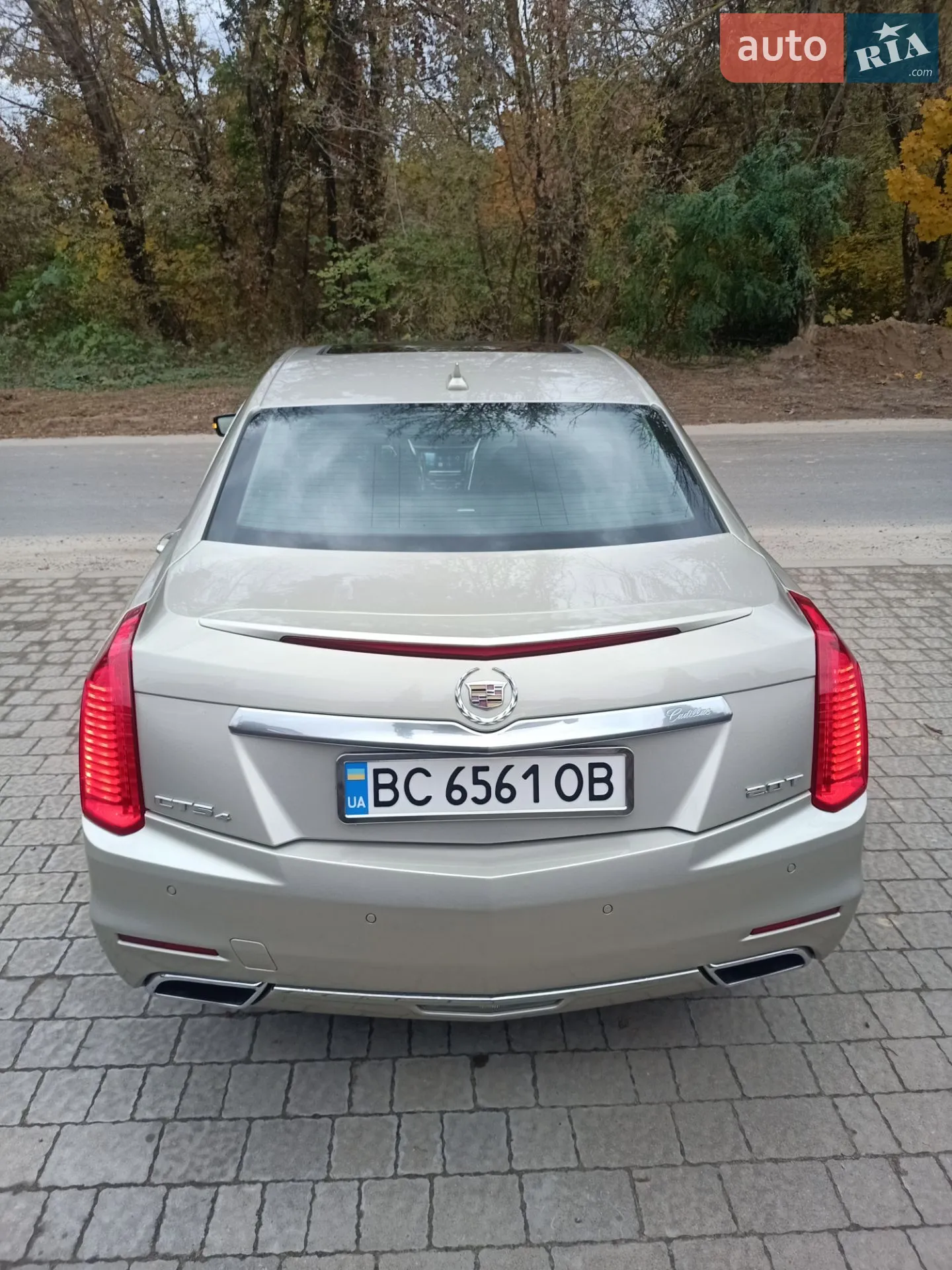 2014 Cadillac CTS - мініатюра 6