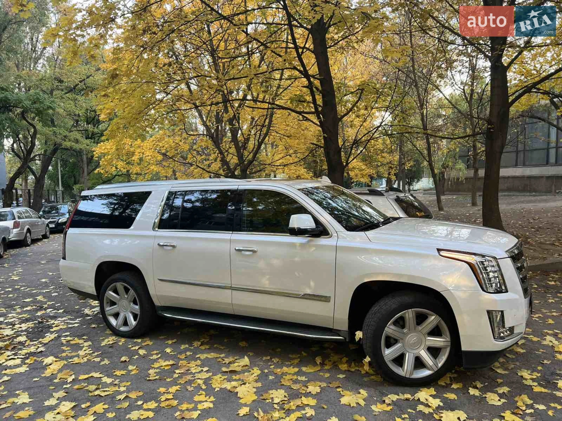 2016 Cadillac Escalade - мініатюра 13