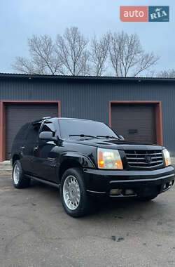 Позашляховик / Кросовер Cadillac Escalade 2002 в Переяславі