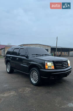 Позашляховик / Кросовер Cadillac Escalade 2002 в Переяславі