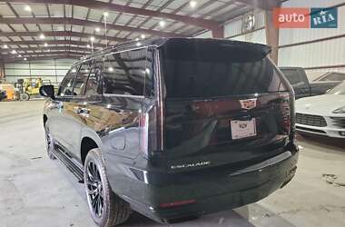 Внедорожник / Кроссовер Cadillac Escalade 2025 в 