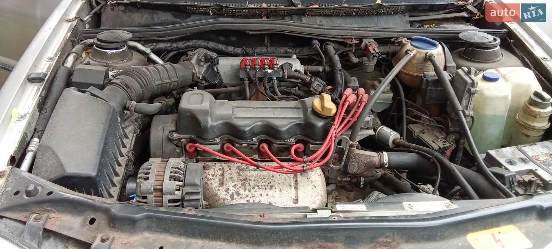 2010 Chery Amulet (A15) - мініатюра 2