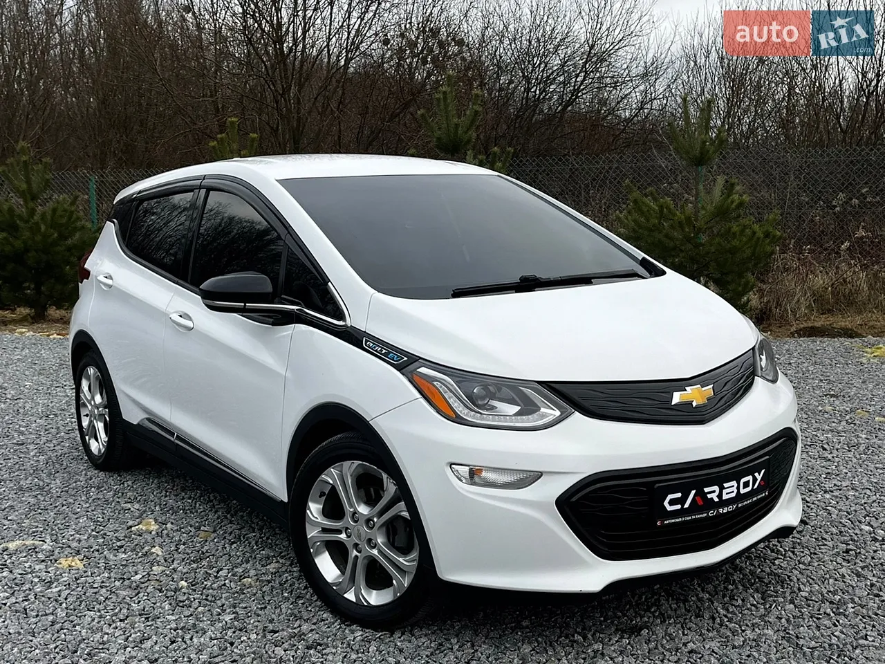 2019 Chevrolet Bolt EUV - мініатюра 11