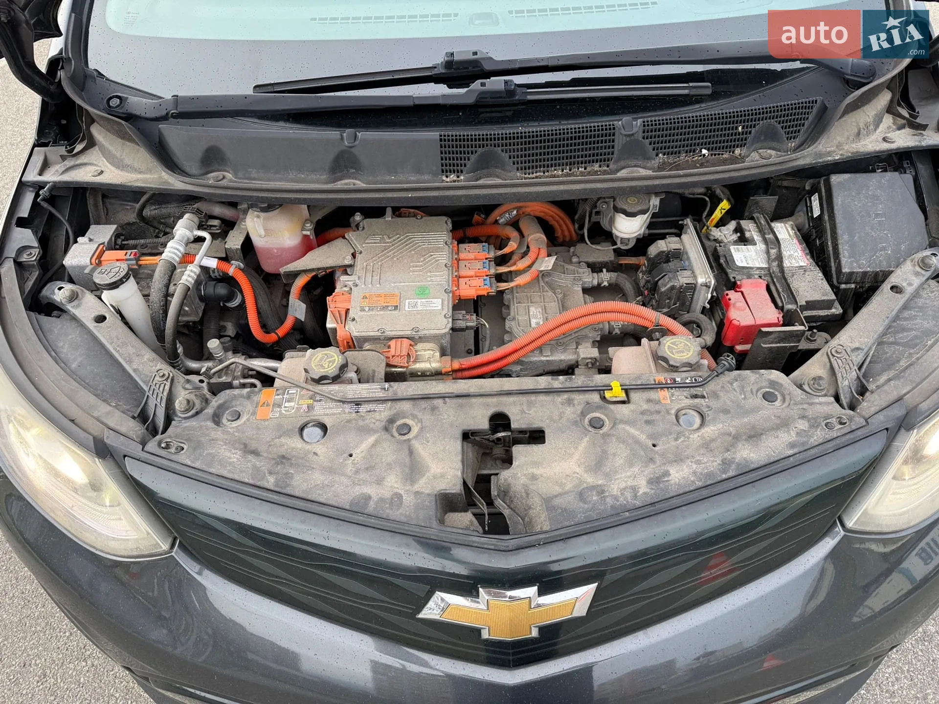 2016 Chevrolet Bolt EUV - мініатюра 18