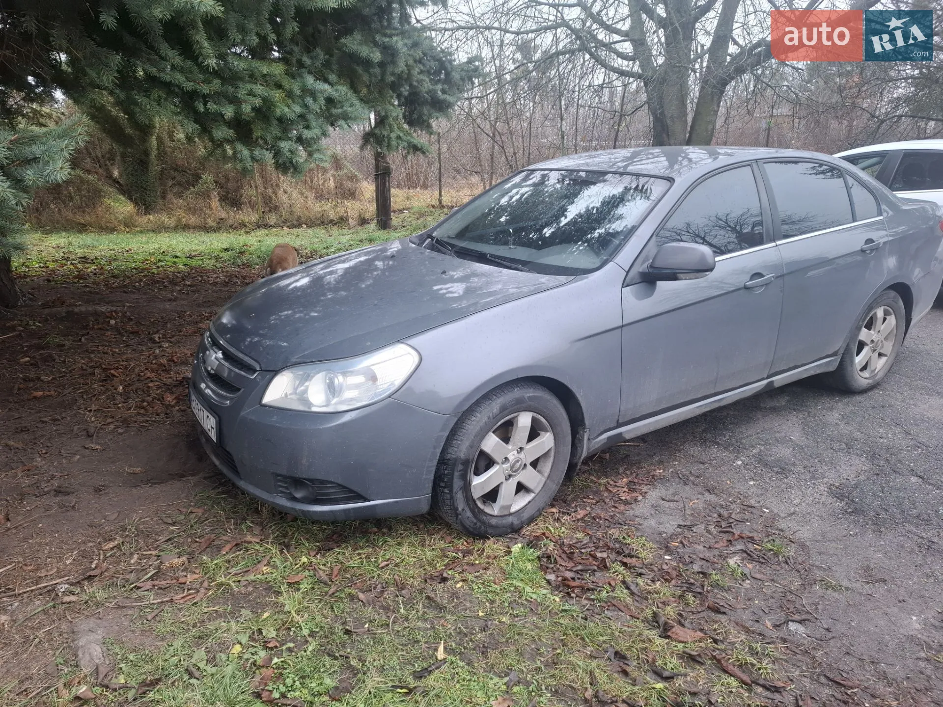 2010 Chevrolet Epica - мініатюра 4