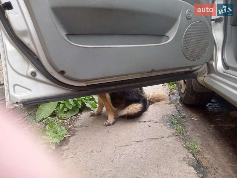 Седан Chevrolet Lacetti 2008 в Хмельницком