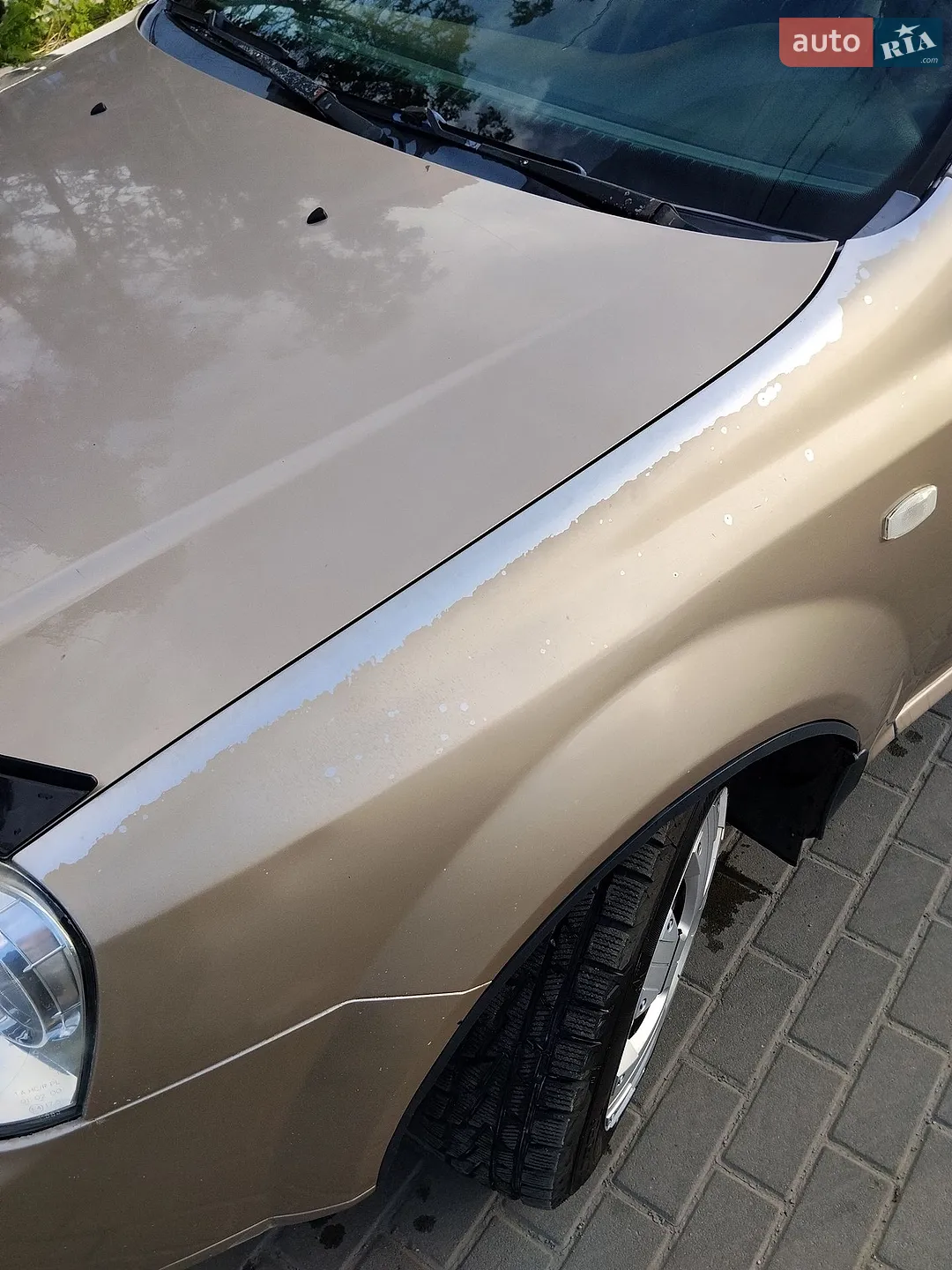 Chevrolet Lacetti 2006 VIN Y6DNF196E6K317328 фото оголошення 8 з 9