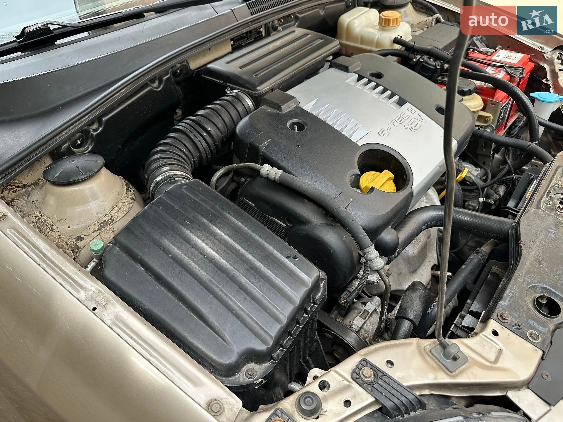 Chevrolet Lacetti 2008 VIN Y6DNF19BE8K305523 фото оголошення 35 з 35