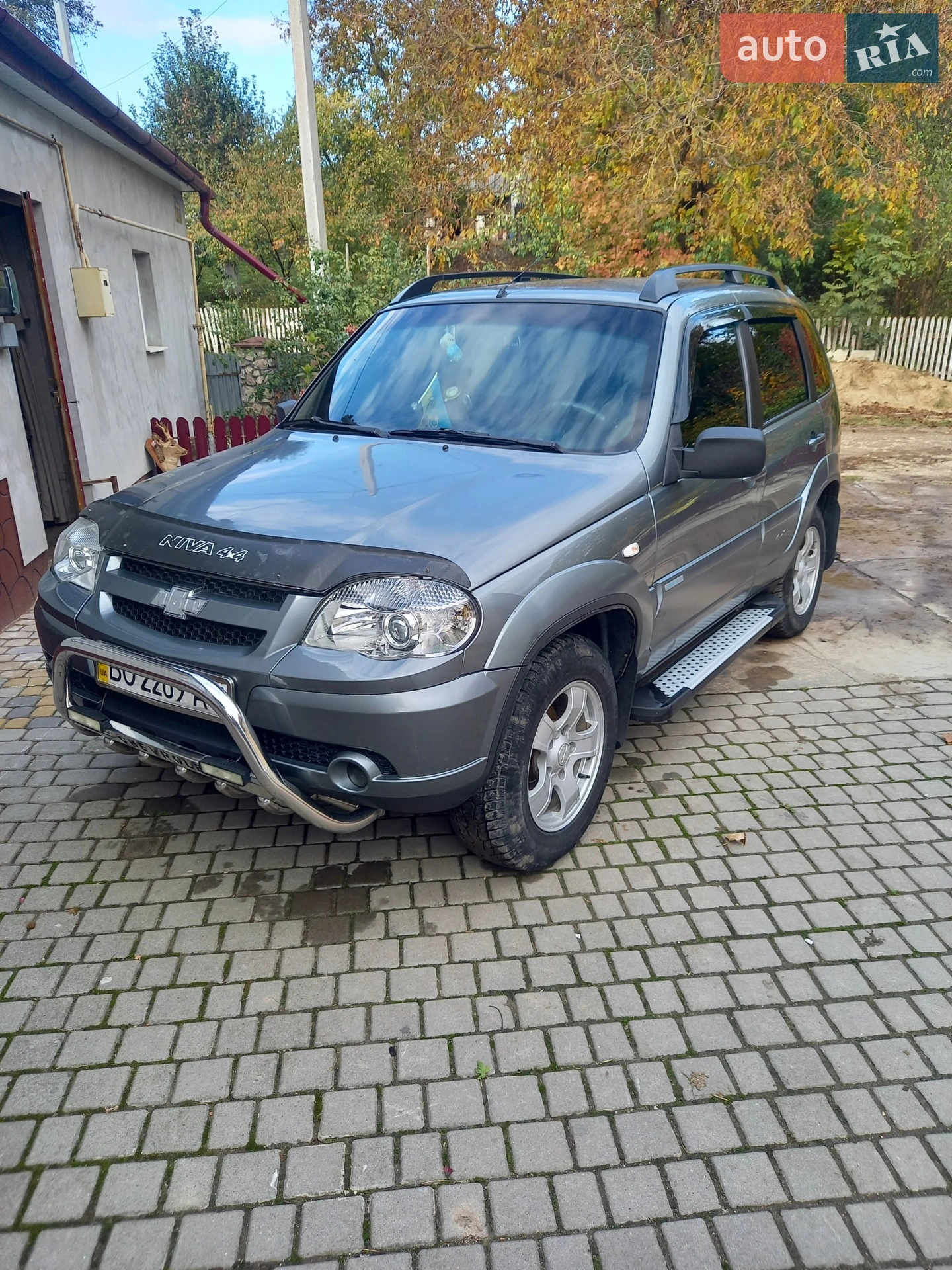 2010 Chevrolet Niva - фото 1