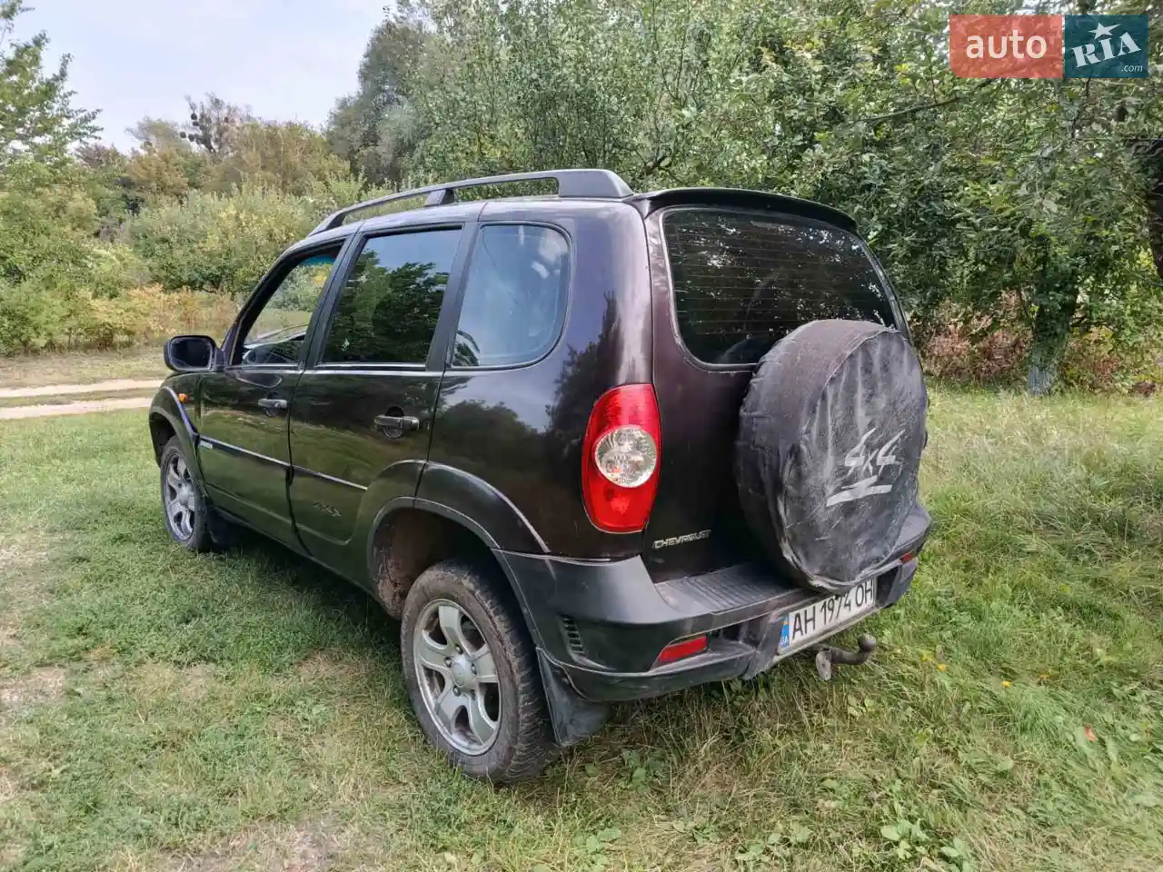 2010 Chevrolet Niva - мініатюра 19
