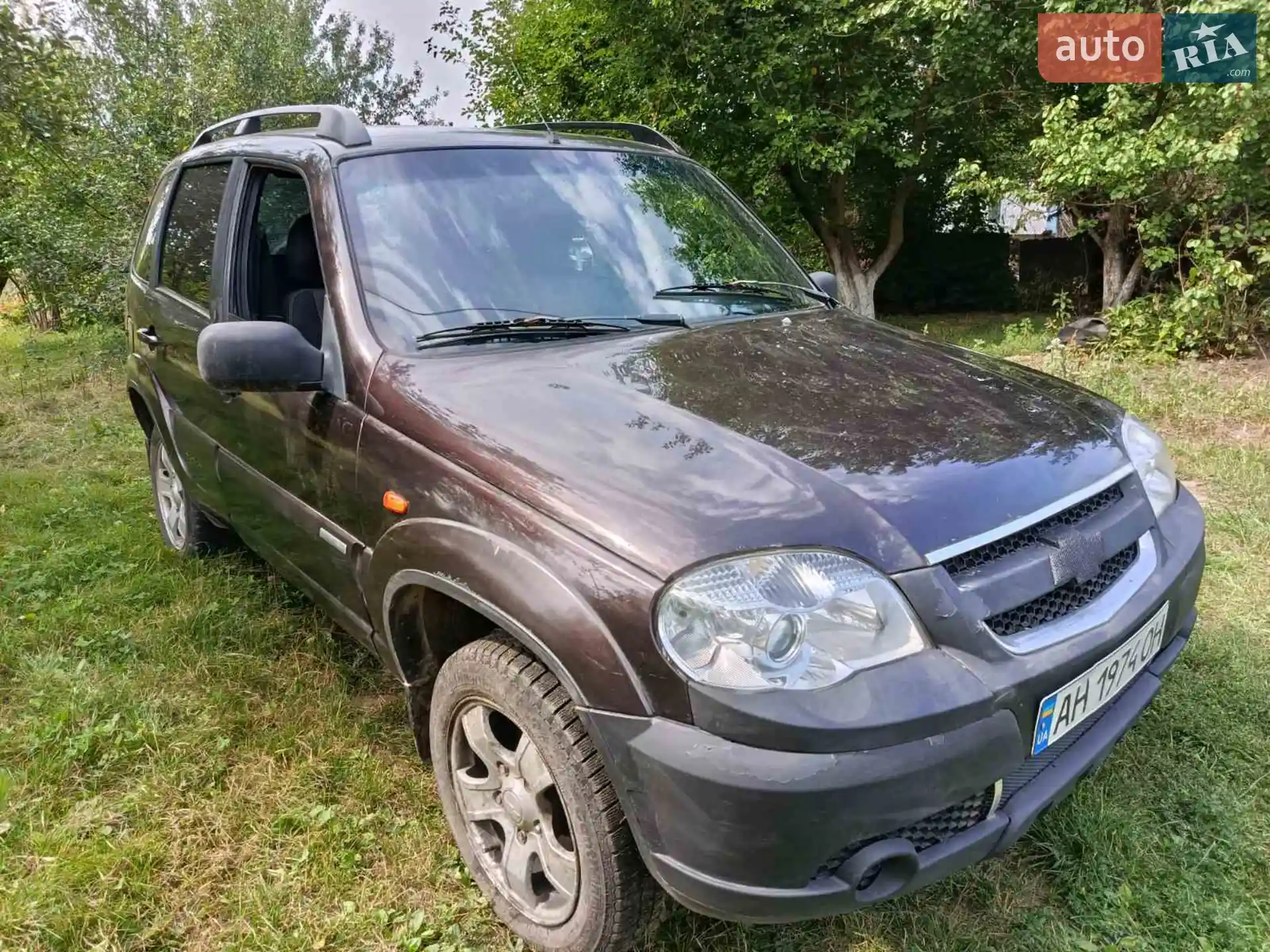 2010 Chevrolet Niva - мініатюра 4