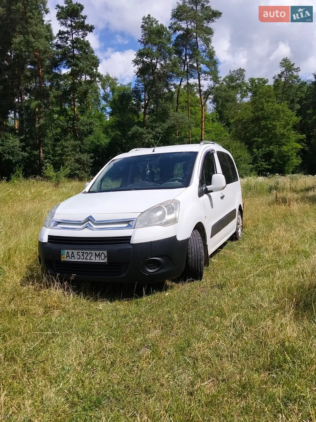 2010 Citroen Berlingo - мініатюра 4