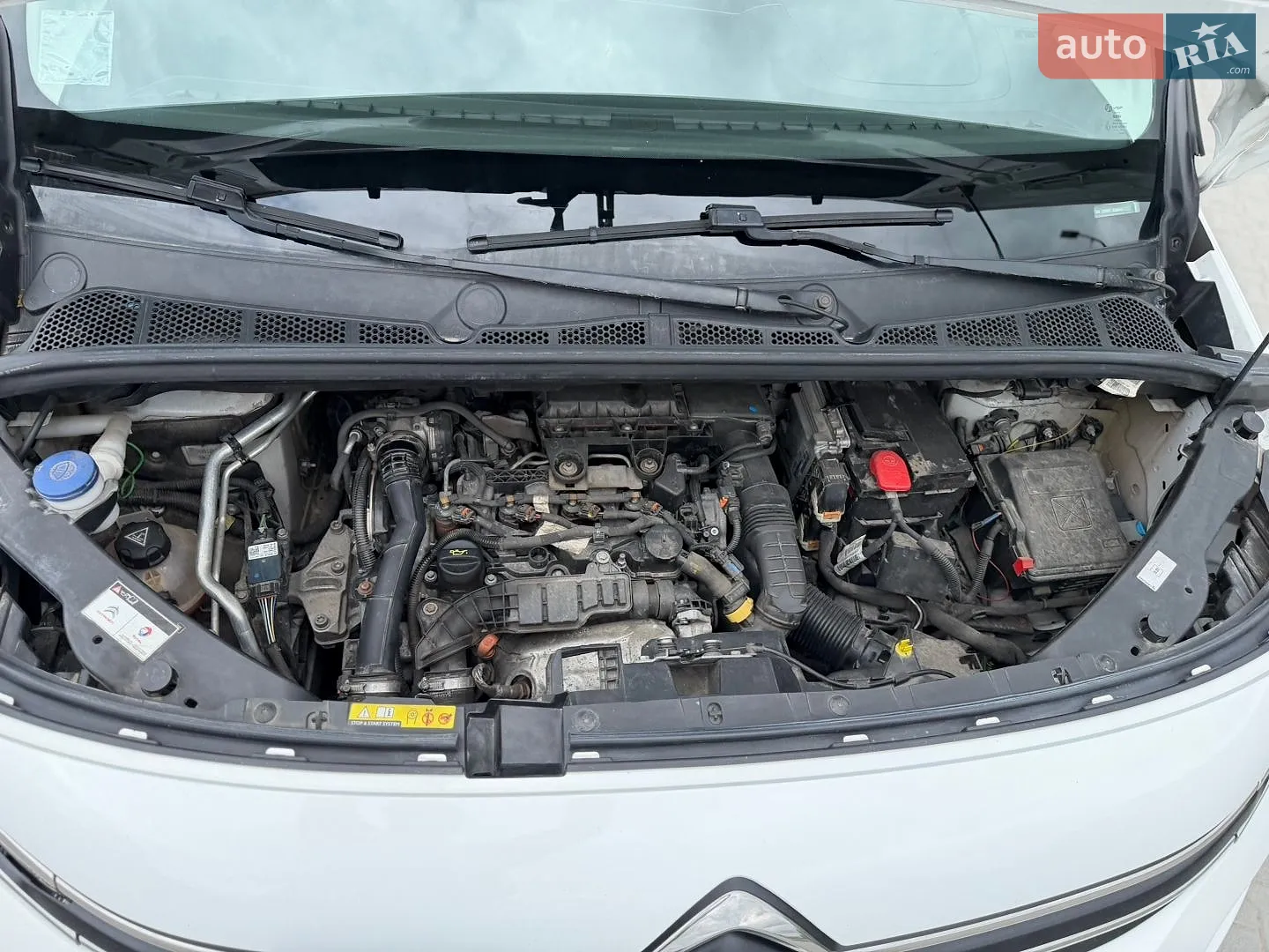 2019 Citroen Berlingo - мініатюра 63