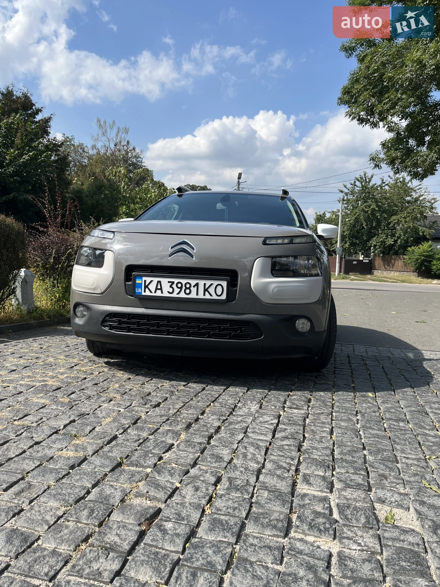 2016 Citroen C4 Cactus - мініатюра 13