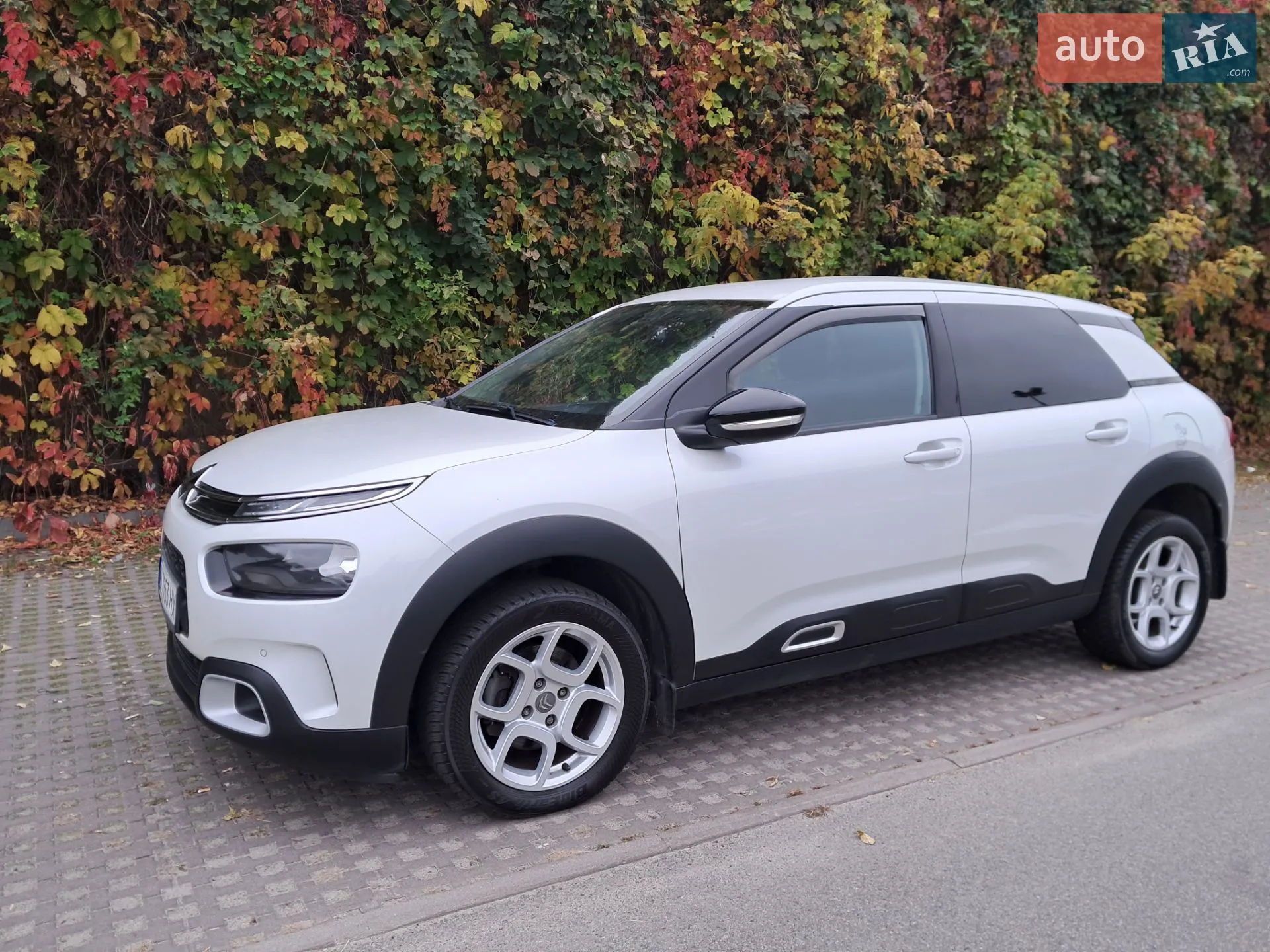 2020 Citroen C4 Cactus - мініатюра 11