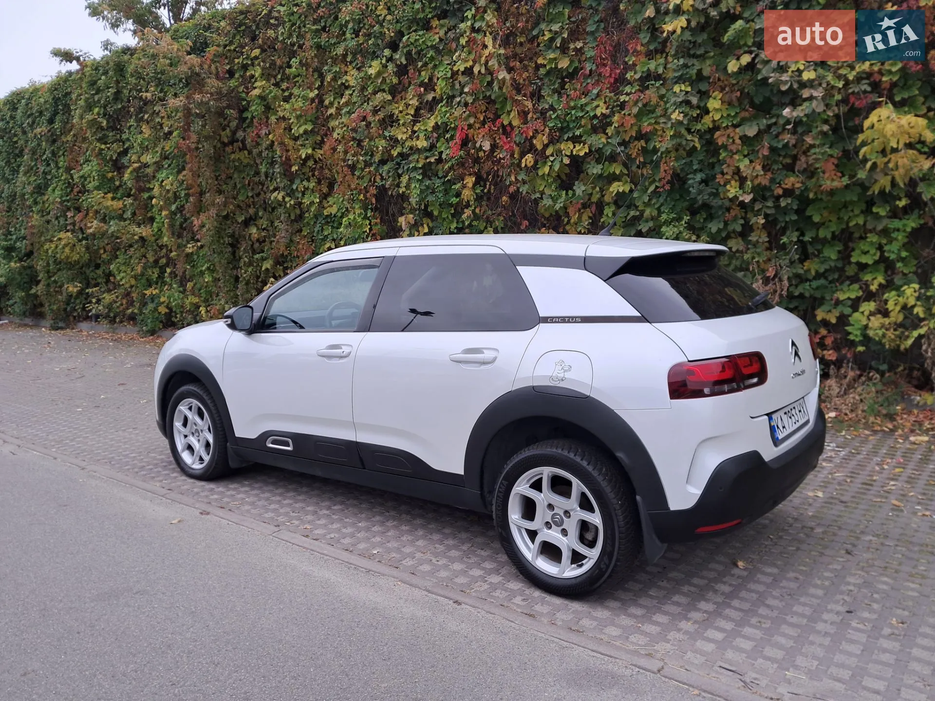 2020 Citroen C4 Cactus - мініатюра 12