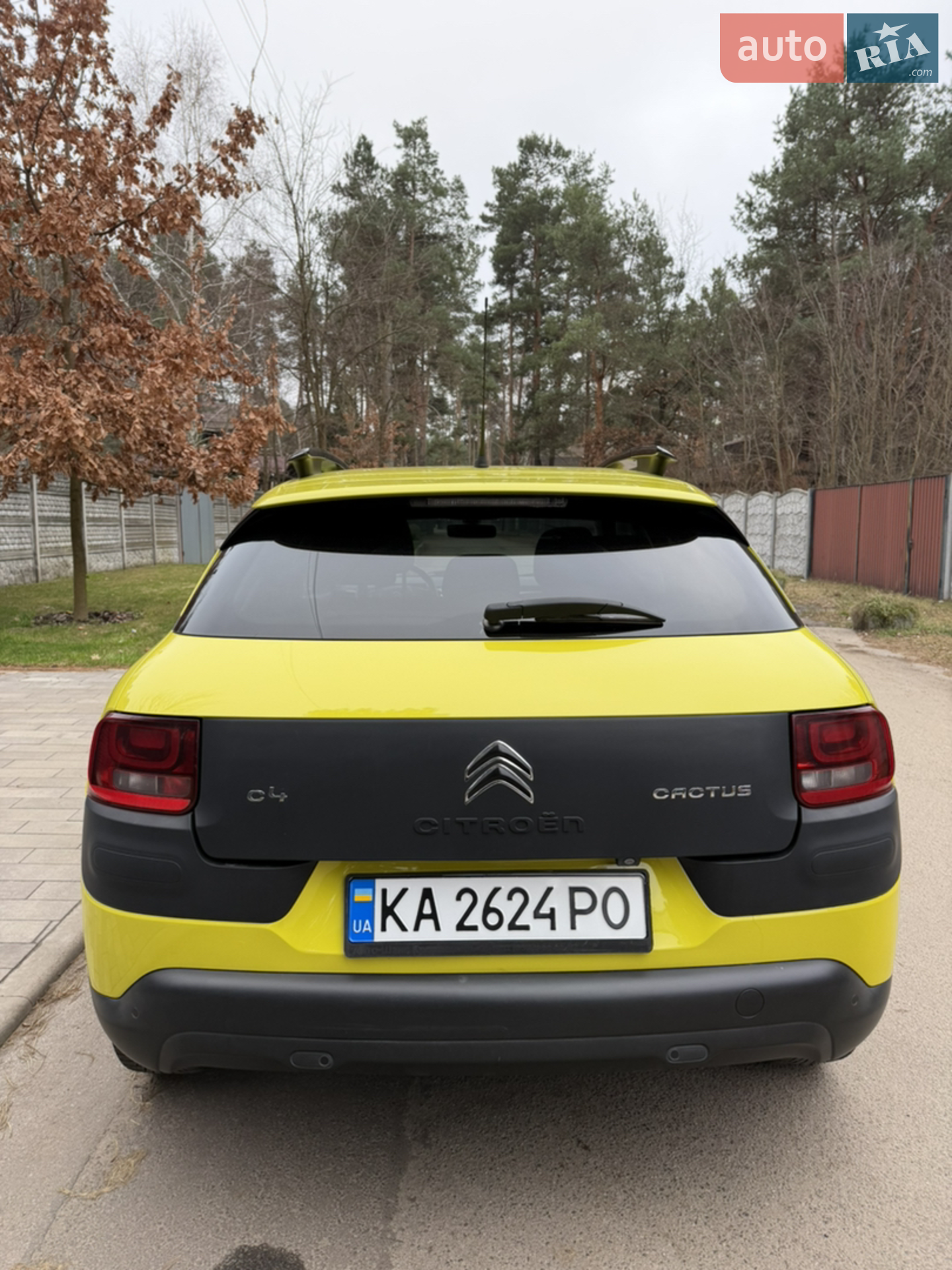 2016 Citroen C4 Cactus - мініатюра 6