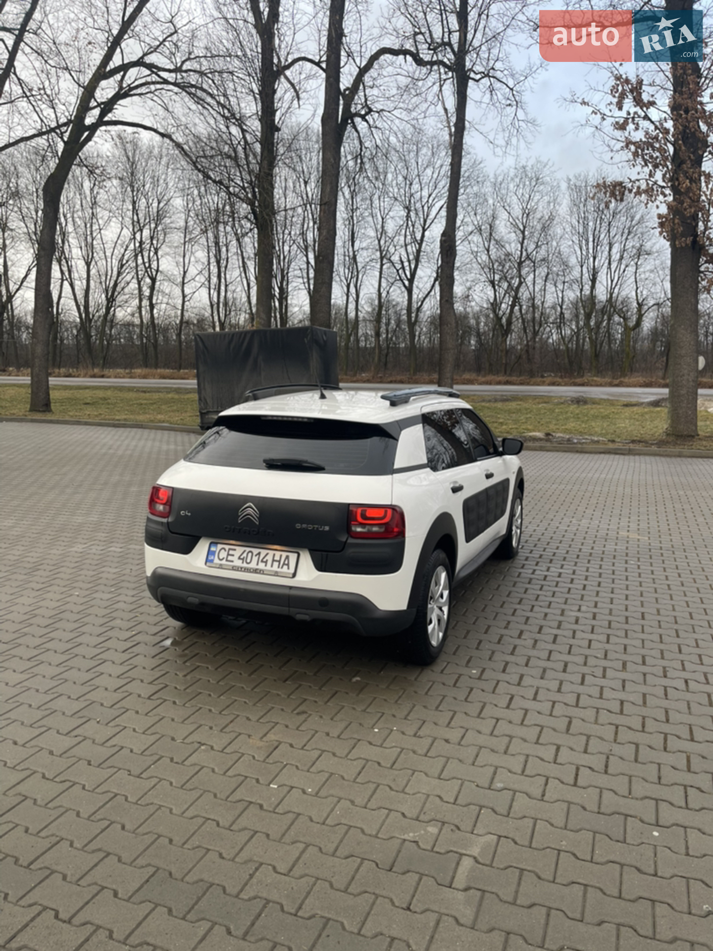 2017 Citroen C4 Cactus - мініатюра 6