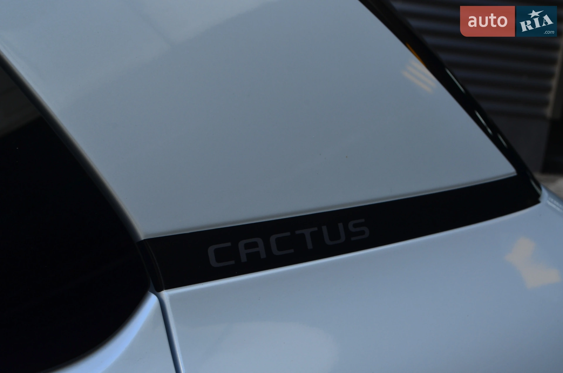 2019 Citroen C4 Cactus - мініатюра 12