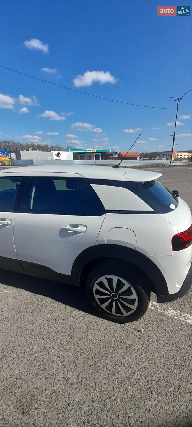 2019 Citroen C4 Cactus - мініатюра 12