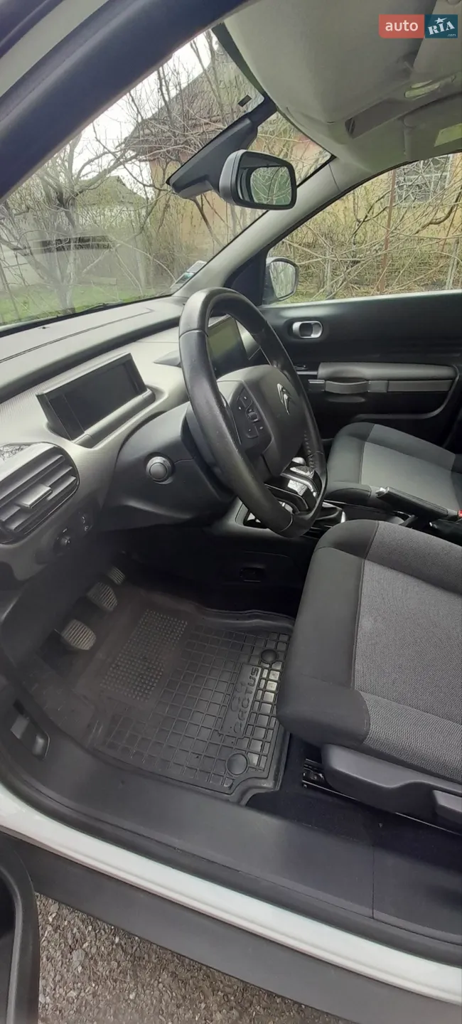 2019 Citroen C4 Cactus - мініатюра 30