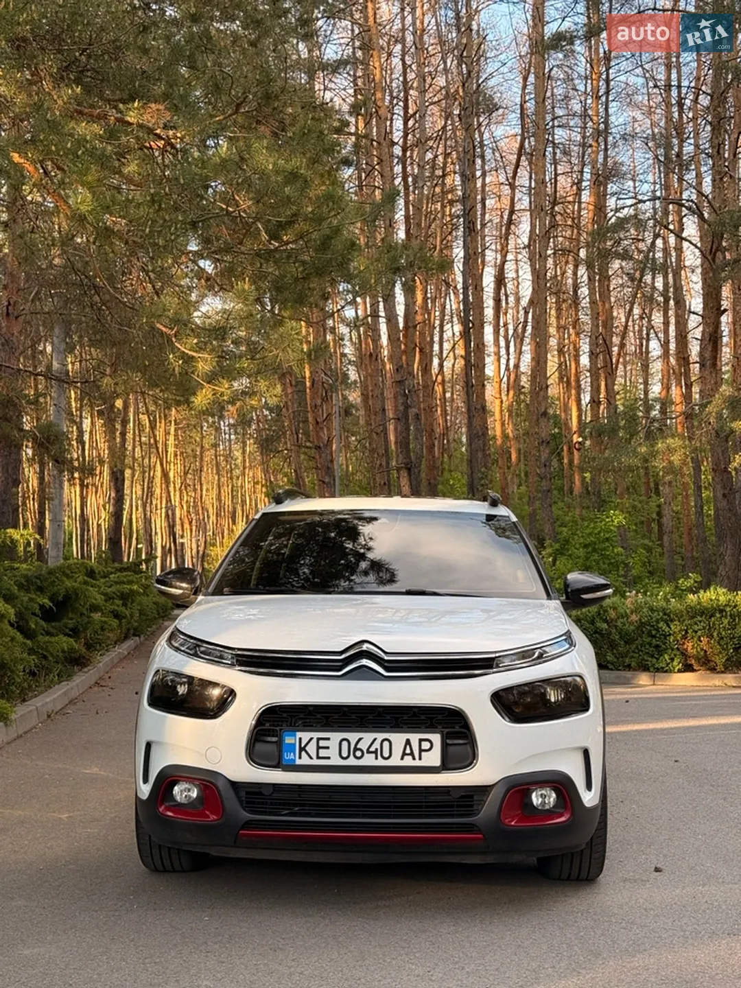 2019 Citroen C4 Cactus - мініатюра 3