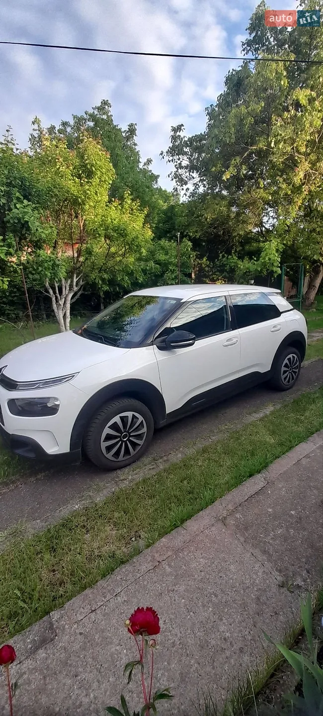 2019 Citroen C4 Cactus - мініатюра 7